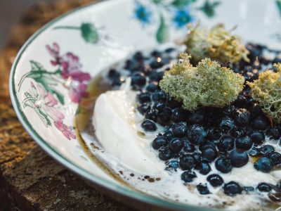 wild blueberries and whipped sour cream